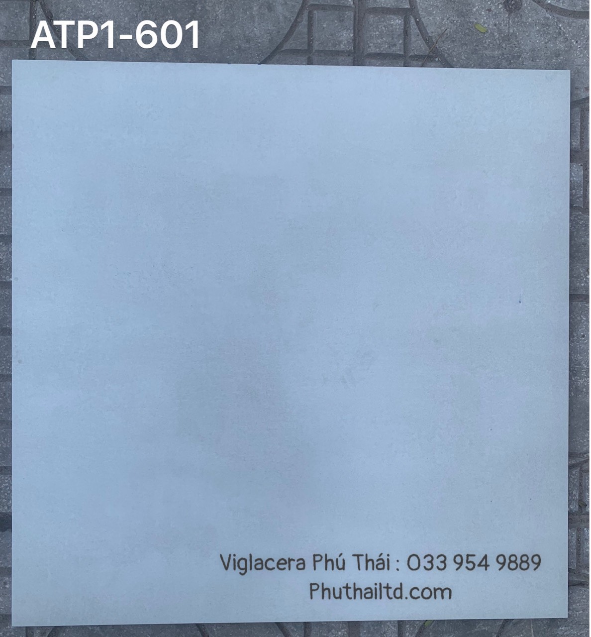 Gạch lát 60x60 Viglacera APT1-601