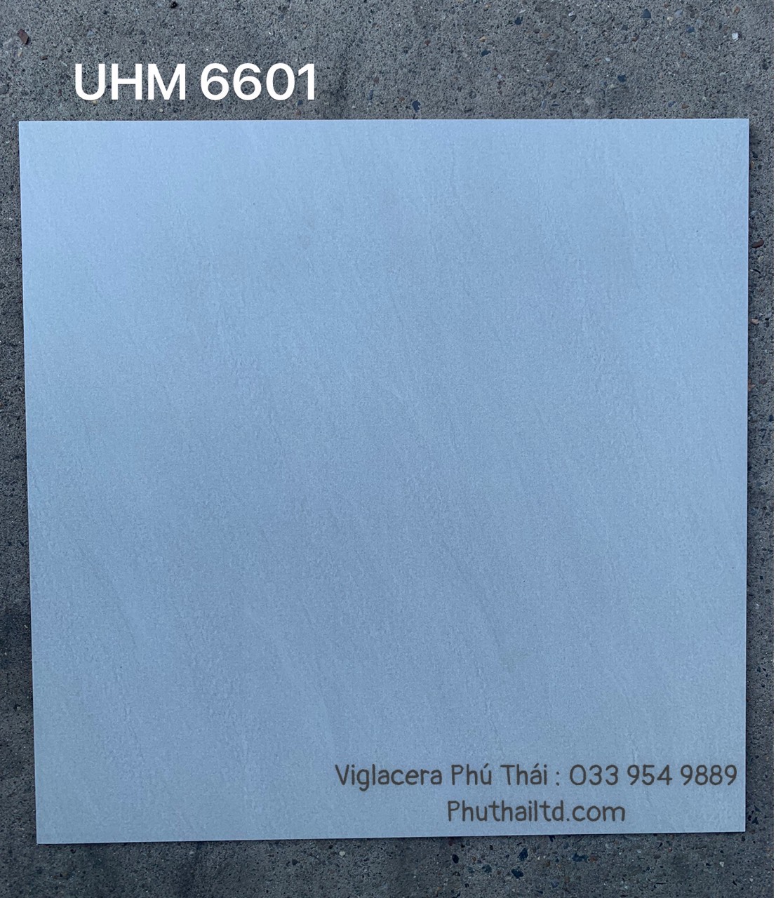 Gạch lát 60x60 Viglacera UHM-6601